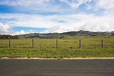 传索尼多次与CDPR谈判收购事宜 业内有人证实