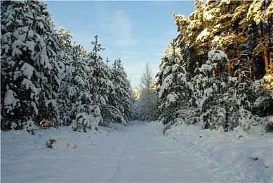 《奥术扳机》Steam页面开放 发行日期待定